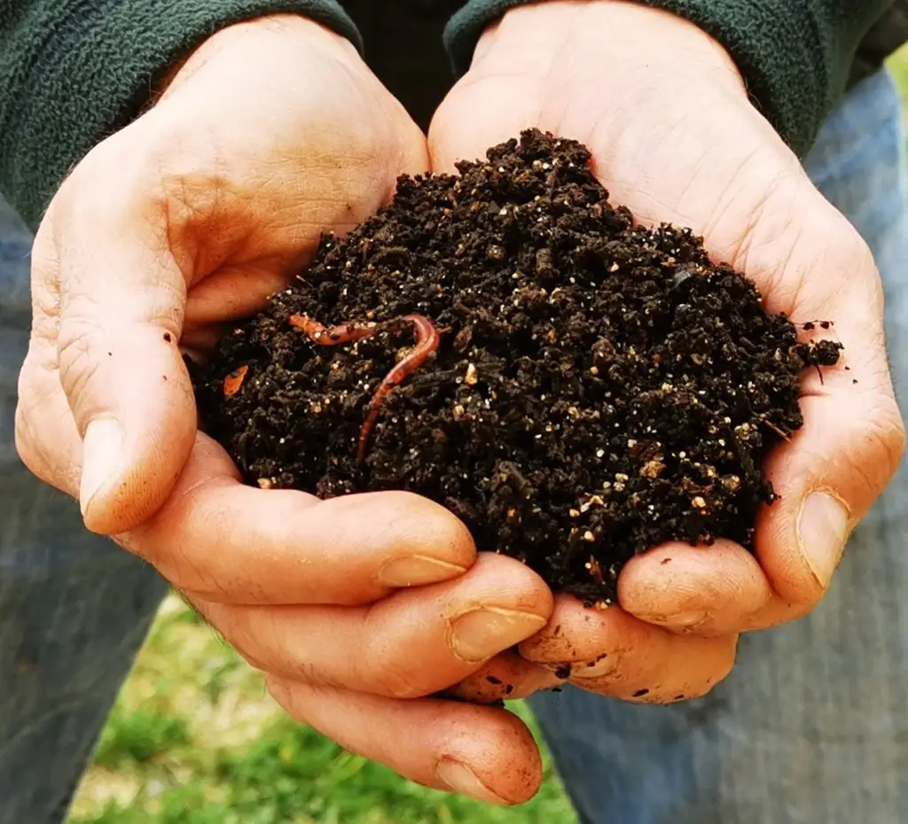 Expertos en lombricultura y vermicompostaje | El Lombricero